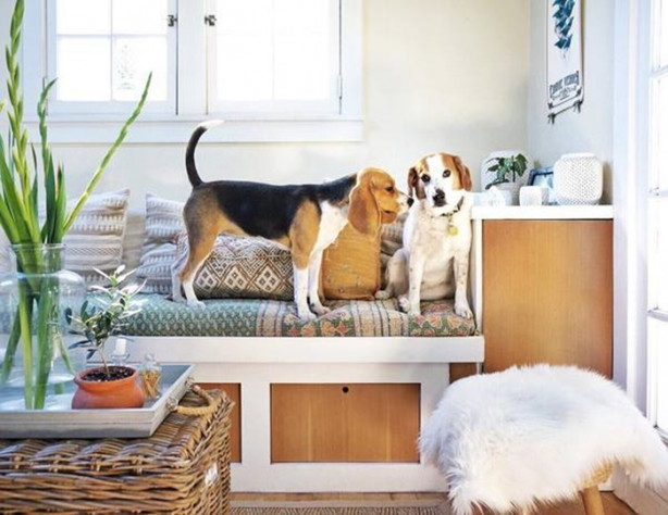 Foto - Garajda yaşıyorlar! Bakın neden...