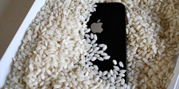 Foto - Gardırobunuza bir bardak pirinç koyun sonrasında bakın neler olacak