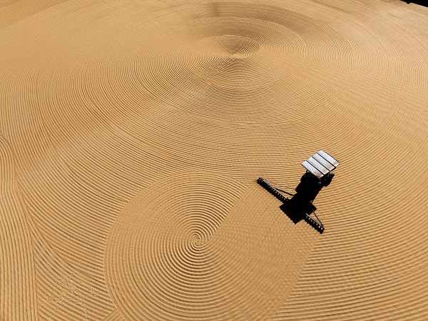Foto - Gaziantep bakın neden sarıya boyandı! 
