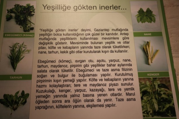 Foto - Gaziantep'in muhteşem lezzetleri burada tanıtılıyor: Emine Göğüş Mutfak Müzesi - 1