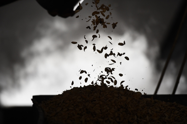 Foto - Gaziantep'in üzümleri cevizli sucuğa dönüşüyor!