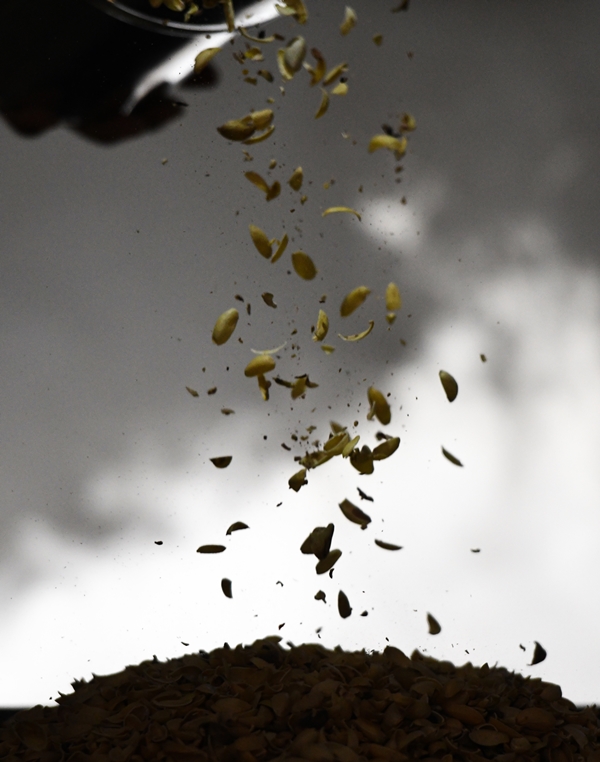 Foto - Gaziantep'in üzümleri cevizli sucuğa dönüşüyor!