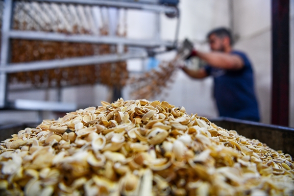 Foto - Gaziantep'in üzümleri cevizli sucuğa dönüşüyor!