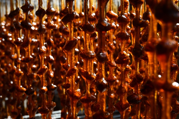 Foto - Gaziantep'in üzümleri cevizli sucuğa dönüşüyor!