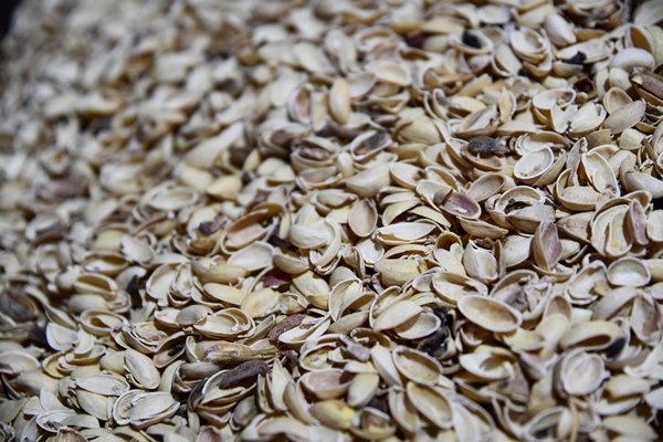 Foto - Gaziantep'in üzümleri cevizli sucuğa dönüşüyor!