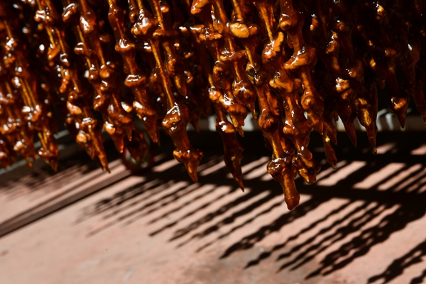 Foto - Gaziantep'in üzümleri cevizli sucuğa dönüşüyor!