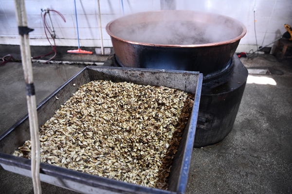 Foto - Gaziantep'in üzümleri cevizli sucuğa dönüşüyor!