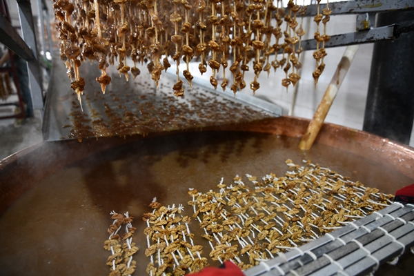 Foto - Gaziantep'in üzümleri cevizli sucuğa dönüşüyor!