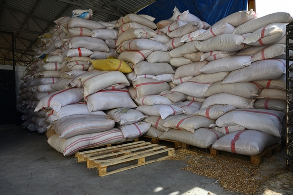 Foto - Gaziantep'in üzümleri cevizli sucuğa dönüşüyor!