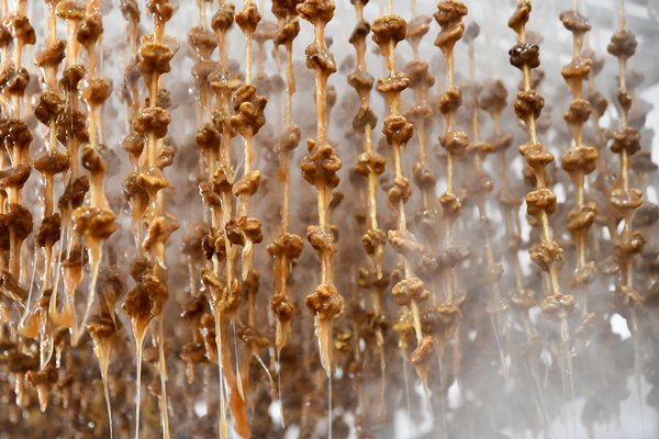 Foto - Gaziantep'in üzümleri cevizli sucuğa dönüşüyor!