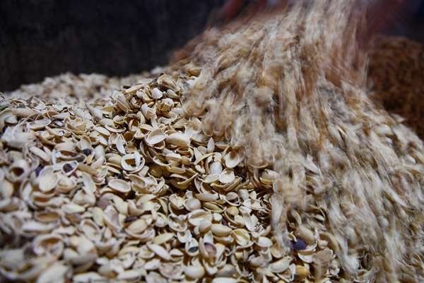 Foto - Gaziantep'in üzümleri cevizli sucuğa dönüşüyor!