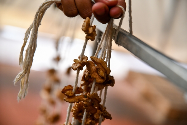 Foto - Gaziantep'in üzümleri cevizli sucuğa dönüşüyor!