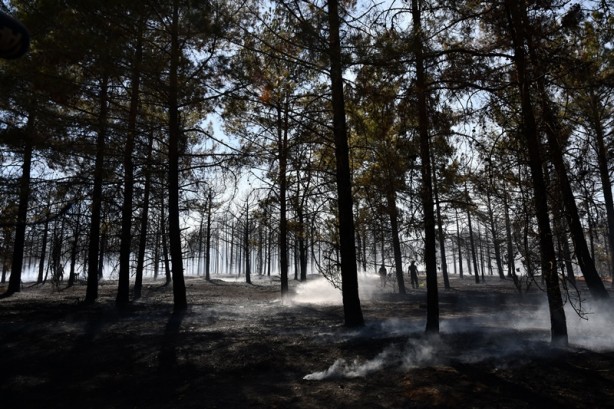 Foto - Gaziantep'te çıkan orman yangını kontrol altına alındı