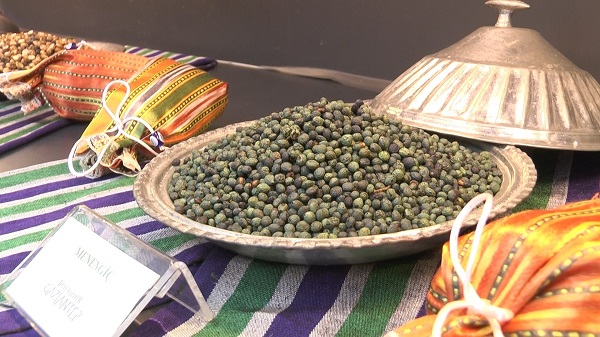 Foto - Gaziantep’te fıstığın tarihine yolculuk