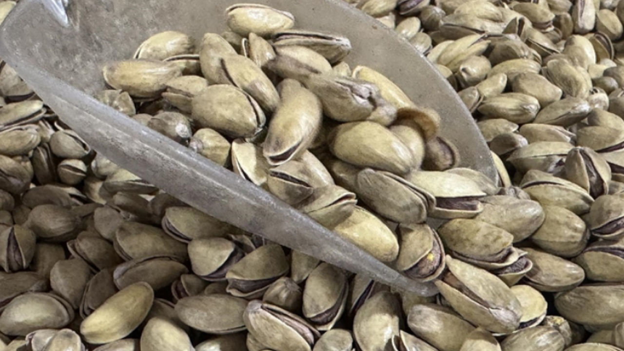 Foto - Gaziantep'te hasadı başladı! Antep fıstığı: Kilosu 100 lira… Kalbi saat gibi çalıştırıyor, kolesterolü yere çakıyor