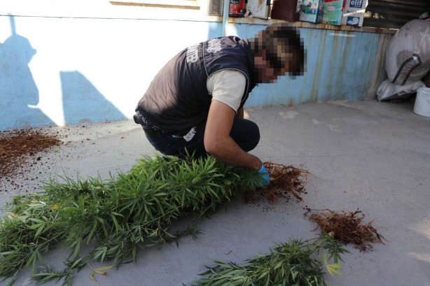 Foto - Gaziantep'te "idamlıklara" operasyon