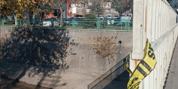 Gaziantep'te rezalet! Bunları beslemeyin idam edin