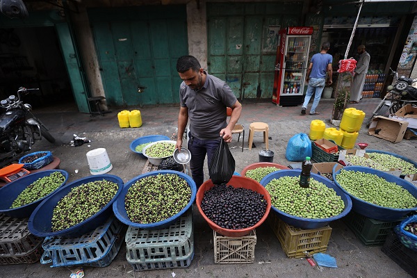 Foto - Gazze'de zeytin hasadı objektiflere yansıdı