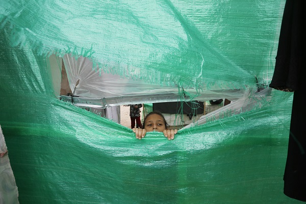 Foto - Gazzelilerin zorlu mücadelesi