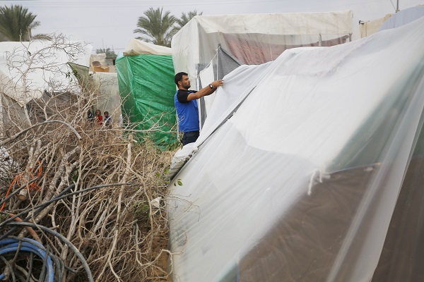 Foto - Gazzelilerin zorlu mücadelesi