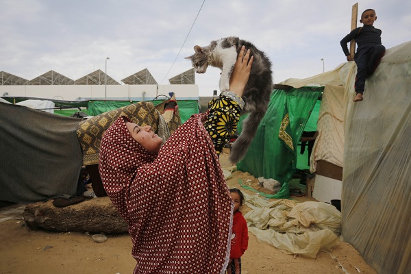 Foto - Gazzelilerin zorlu mücadelesi