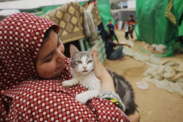 Foto - Gazzelilerin zorlu mücadelesi