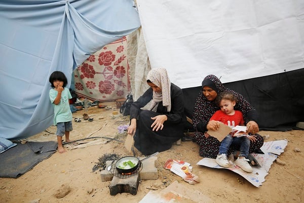 Foto - Gazzelilerin zorlu mücadelesi