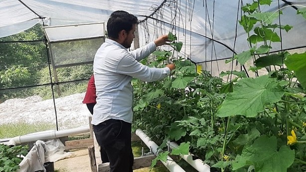 Foto - Gebze'de öğrenciler üretti! Türk tarımında devrim olacak... Artık toprak olmadan yetişecek