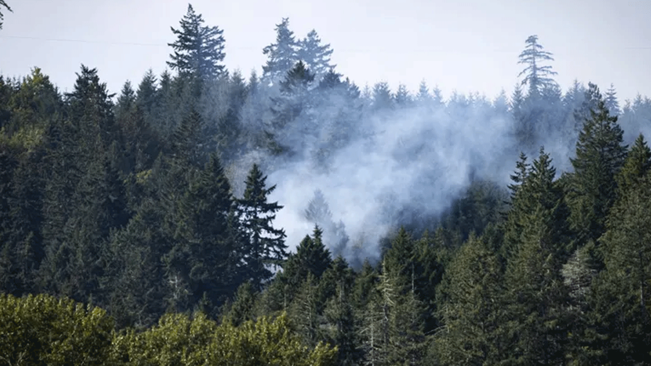 Foto - "Gece baskını yapan" ABD’li askerler metrelerce yüksekten yere çakıldı! Hepsi öldü