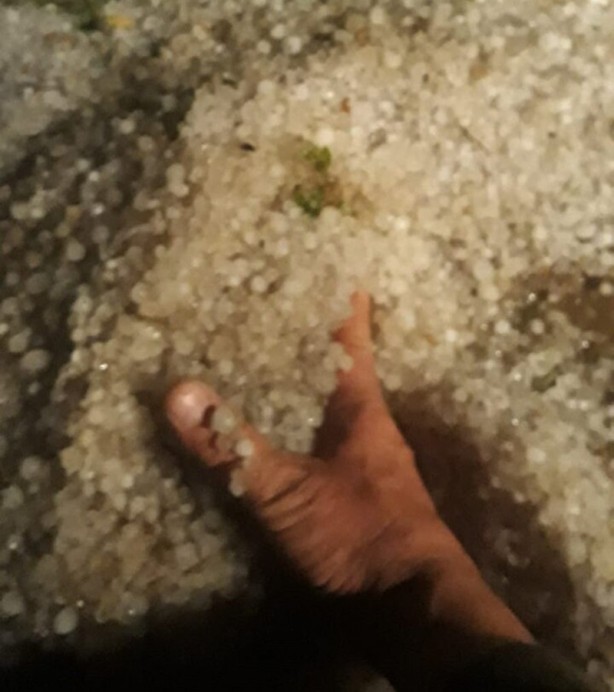 Foto - Gece bir anda etkisini gösterdi! Ayçiçek ve buğday tarlalarını dolu vurdu