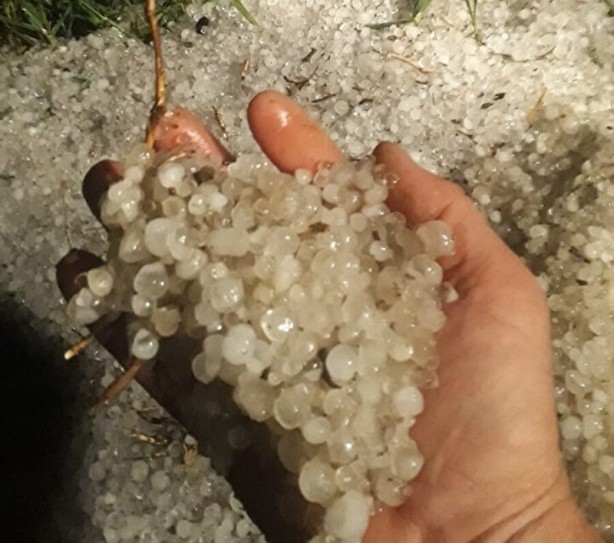 Foto - Gece bir anda etkisini gösterdi! Ayçiçek ve buğday tarlalarını dolu vurdu