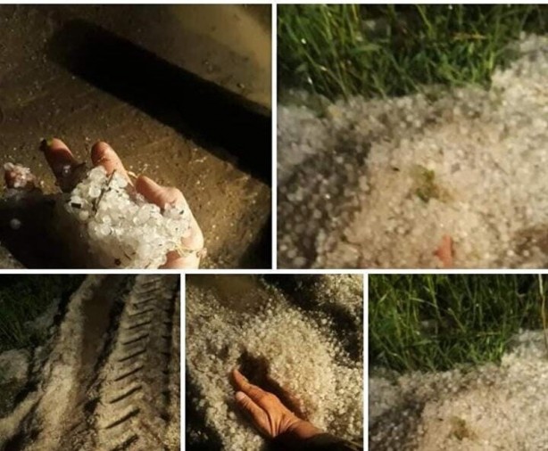 Foto - Gece bir anda etkisini gösterdi! Ayçiçek ve buğday tarlalarını dolu vurdu