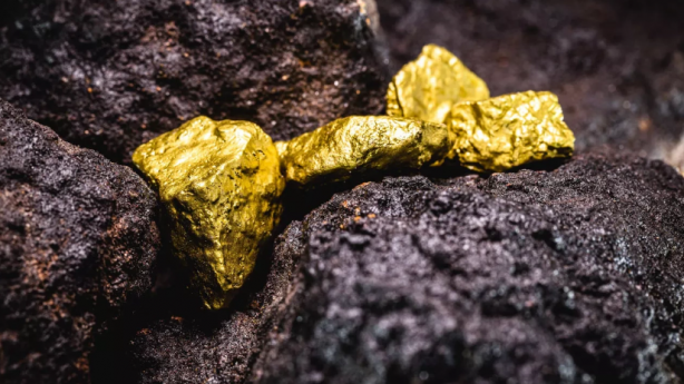 Foto - Gece gündüz demeden keşif yaptı, büyük bir altın hazinesi buldu! Bölgede daha 2 milyon kilo daha var