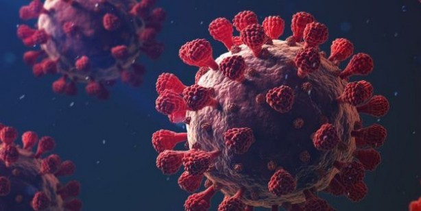 Foto - Gece uyumadan önce zerdeçallı süt içerseniz ne olur? Sonucu görün, bakın neler oluyor: Kimse bu etkilerini bilmiyor! 