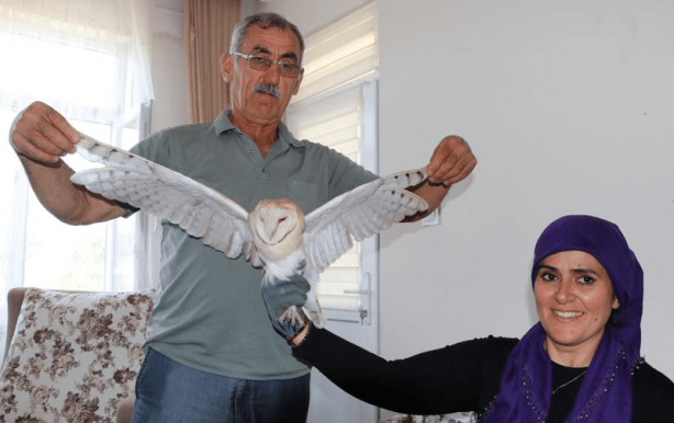 Foto - Gece vardiyasından evine döndü, balkondan gelen seslerin sahibini görünce dondu