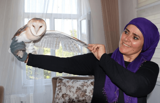 Foto - Gece vardiyasından evine döndü, balkondan gelen seslerin sahibini görünce dondu