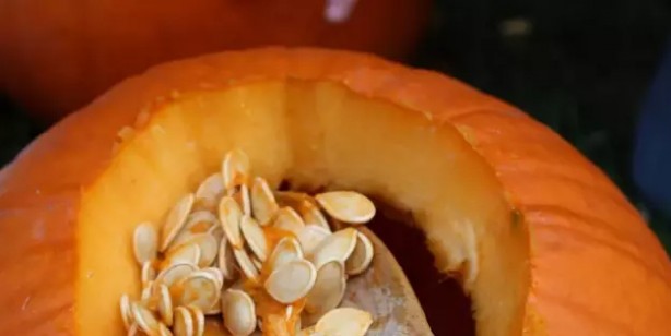 Foto - Gece yatmadan önce kabak çekirdeği yerseniz ne olur, ne işe yarar? İltihaba karşı en iyi silah, savaş açıyor