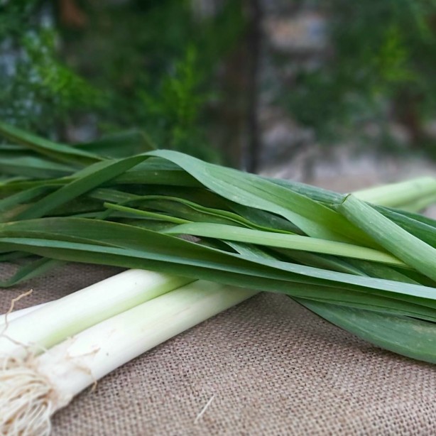 Foto - Gece yatmadan önce pırasa yerseniz...