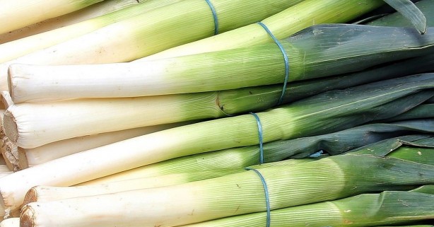 Foto - Gece yatmadan önce pırasa yerseniz...