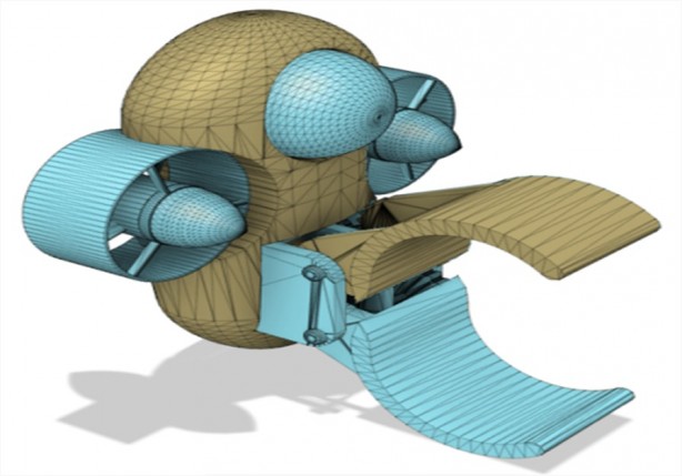 Foto - Geçen sezonun şampiyonuydular, yine yaptılar! 
