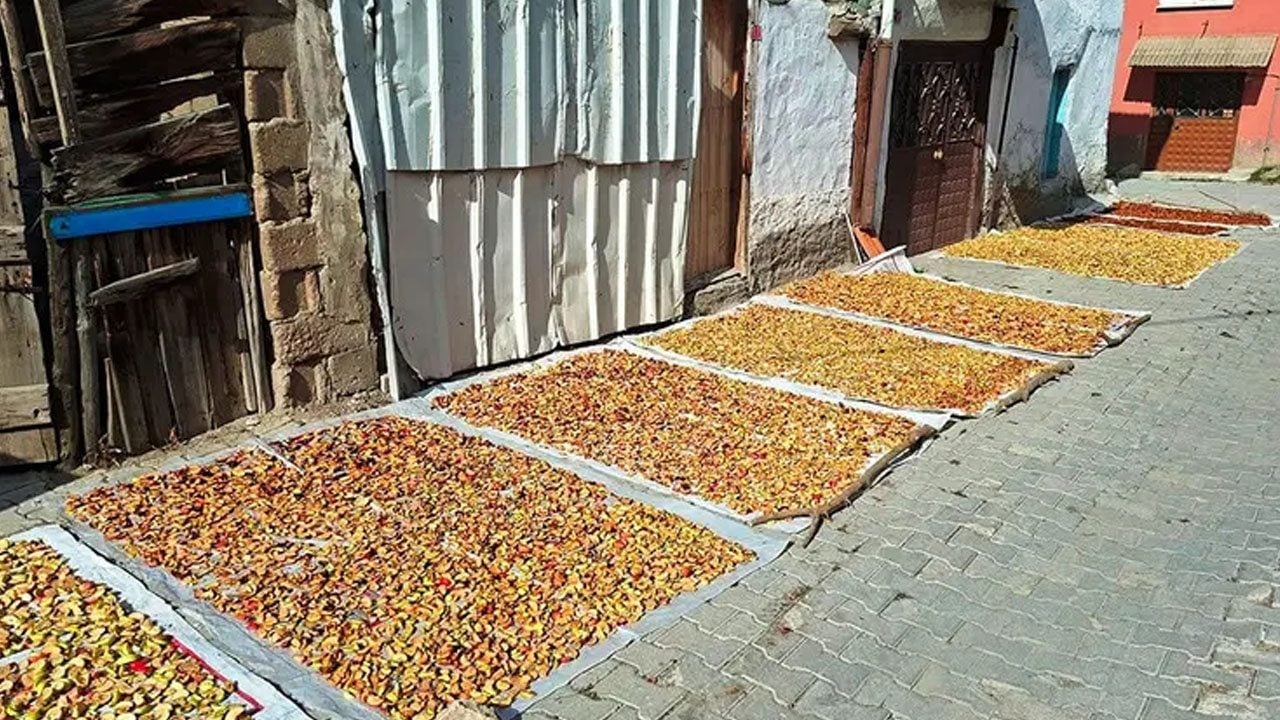 Foto - Geçen yıl 70 TL'yken bu yılda 40 TL'ye düştü: Elma kurusu büyük ek gelir kaynağı! Tercih edildi
