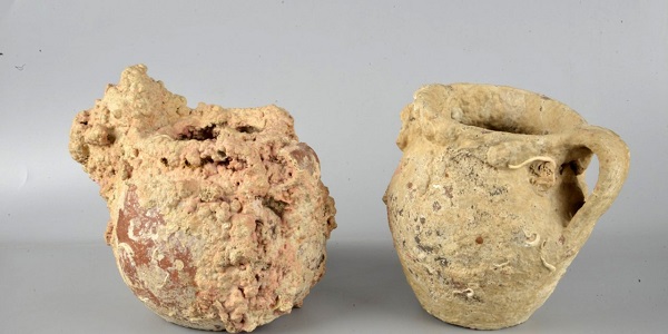 Foto - Geçen yılki sayıları belli oldu! Dünyanın dört bir yanından yurda dönüş