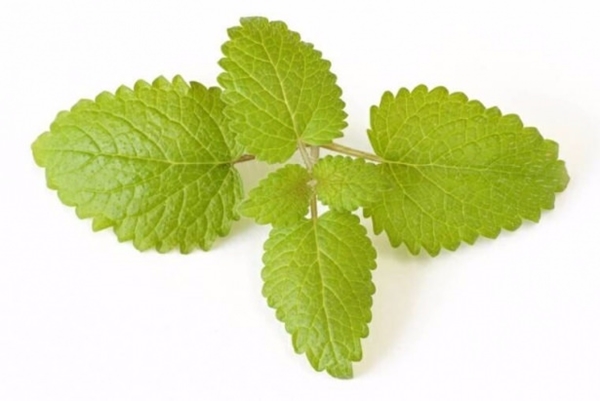 Foto - Geçmeyen baş ağrılarından şikayetçiyseniz...