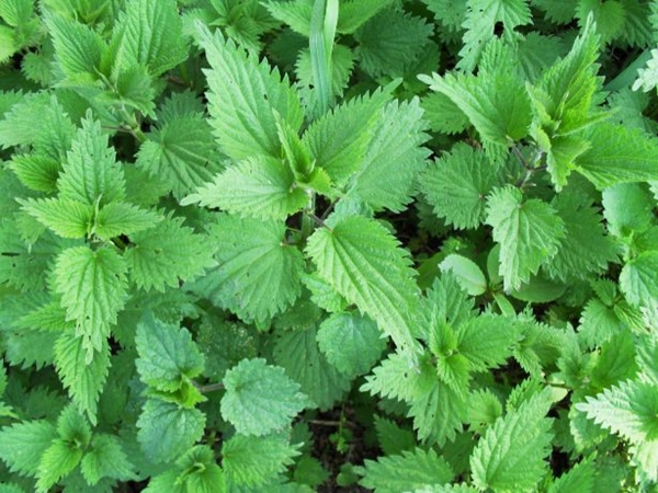 Foto - Geçmeyen baş ağrılarından şikayetçiyseniz...