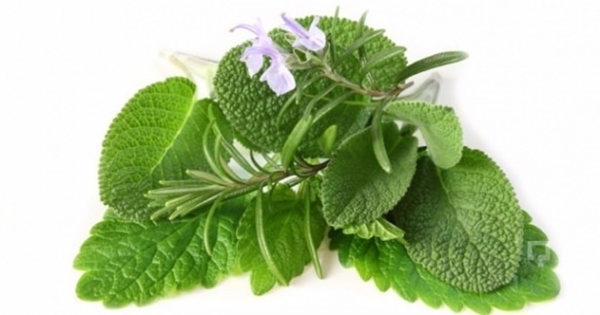 Foto - Geçmeyen baş ağrılarından şikayetçiyseniz...