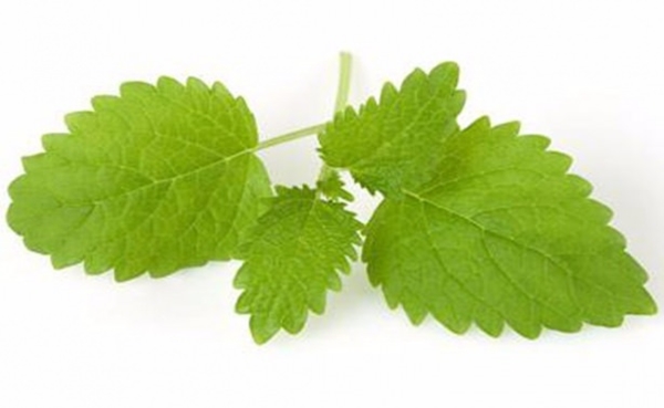 Foto - Geçmeyen baş ağrılarından şikayetçiyseniz...