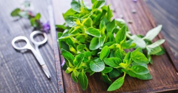 Foto - Geçmeyen baş ağrılarından şikayetçiyseniz...