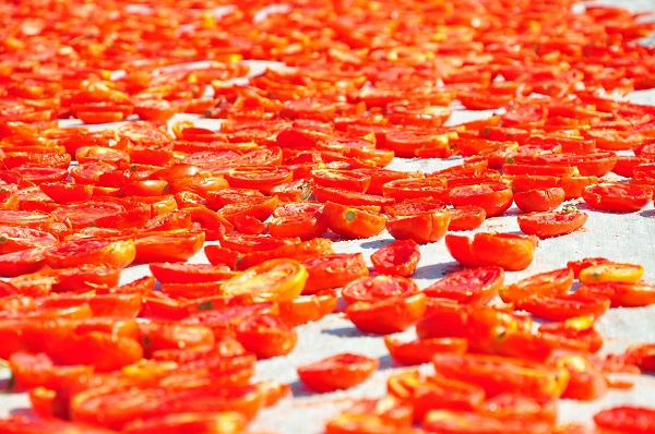 Foto - Gediz Ovası kırmızıya büründü