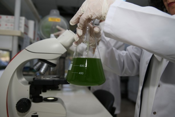 Foto - Geleceğin besini Türkiye'de üretiliyor! NASA her an kapımızı çalabilir