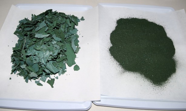 Foto - Geleceğin besini Türkiye'de üretiliyor! NASA her an kapımızı çalabilir